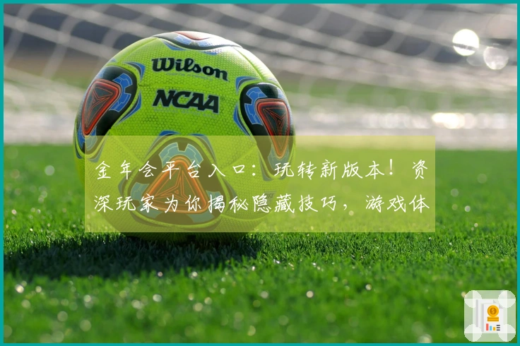 金年会平台入口：玩转新版本！资深玩家为你揭秘隐藏技巧，游戏体验再升级！